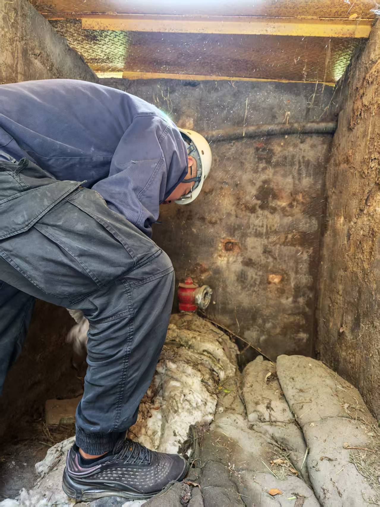 圖片5.png 圖片5.png